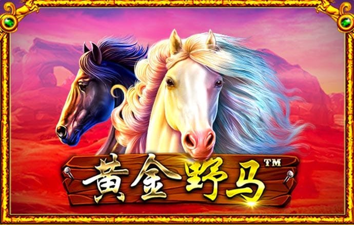 bob手机网页版登录入口